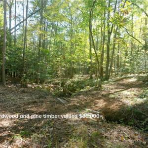 Photo #24 of 1751 Flat Rock, Pinnacle, NC 40.7 acres