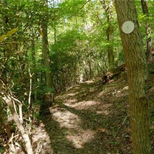 Photo #34 of 1751 Flat Rock, Pinnacle, NC 40.7 acres