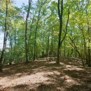 Photo #38 of 1751 Flat Rock, Pinnacle, NC 40.7 acres