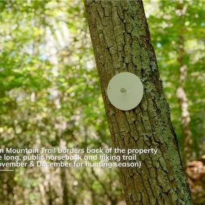 Photo #33 of 1751 Flat Rock, Pinnacle, NC 40.7 acres