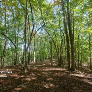 Photo #37 of 1751 Flat Rock, Pinnacle, NC 40.7 acres