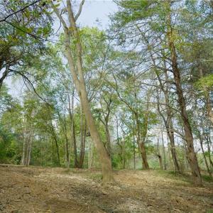 Photo #15 of 1751 Flat Rock, Pinnacle, NC 40.7 acres