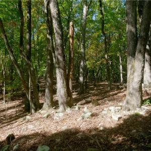 Photo #40 of 1751 Flat Rock, Pinnacle, NC 40.7 acres