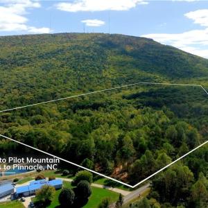 Photo #4 of 1751 Flat Rock, Pinnacle, NC 40.7 acres