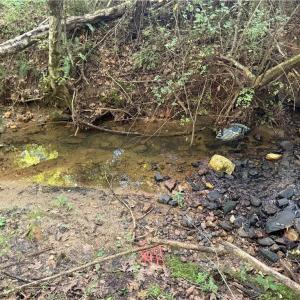 Photo #6 of Lot 5 Rock Haven, King, NC 8.9 acres