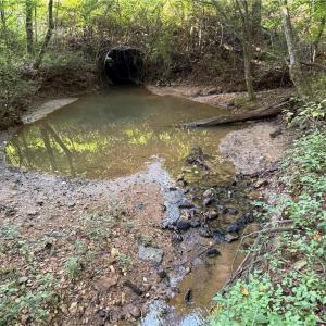 Photo #4 of Lot 5 Rock Haven, King, NC 8.9 acres