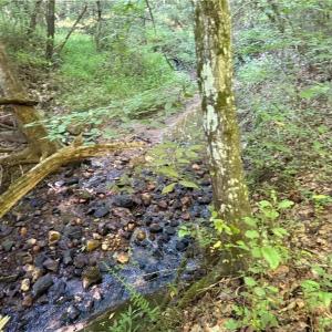 Photo #8 of Lot 5 Rock Haven, King, NC 8.9 acres