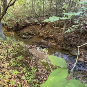 Photo #3 of 14.8 acres Rock Haven, King, NC 14.8 acres