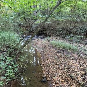 Photo #1 of 14.8 acres Rock Haven, King, NC 14.8 acres