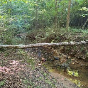 Photo #10 of 14.8 acres Rock Haven, King, NC 14.8 acres