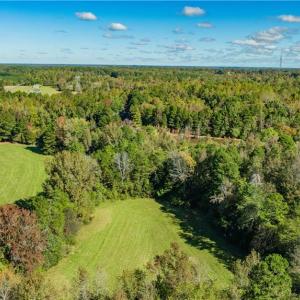 Photo #6 of Hunting Lodge, Climax, NC 32.6 acres