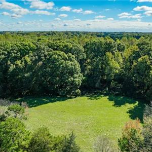 Photo #7 of Hunting Lodge, Climax, NC 32.6 acres