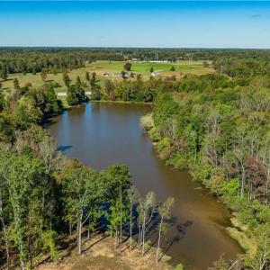 Photo #9 of Hunting Lodge, Climax, NC 32.6 acres