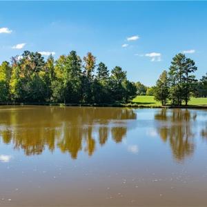 Photo #11 of Hunting Lodge, Climax, NC 32.6 acres