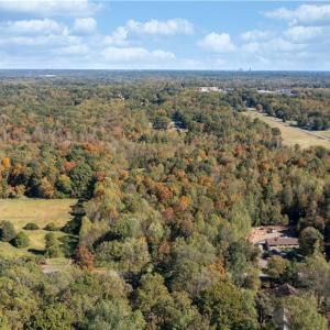 Photo #6 of Chickasha, Lewisville, NC 14.8 acres