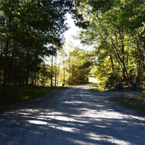 Photo #29 of 501 Barley, Reidsville, NC 68.2 acres