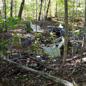 Photo #25 of 501 Barley, Reidsville, NC 68.2 acres