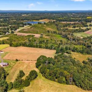 Photo #23 of 223 Church Street, Reidsville, NC 354.8 acres