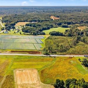 Photo #10 of 223 Church Street, Reidsville, NC 354.8 acres