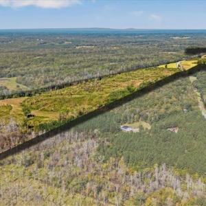 Photo #33 of 223 Church Street, Reidsville, NC 354.8 acres