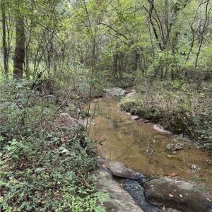 Photo #5 of Virginia Branch, Winston-Salem, NC 8.1 acres