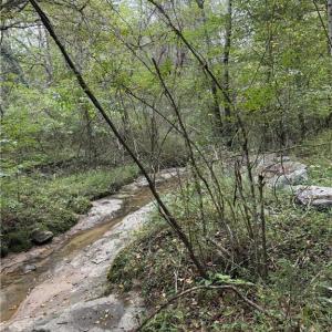 Photo #5 of Virginia Branch, Winston-Salem, NC 8.1 acres