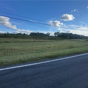 Photo #7 of Alonzo, Oakboro, NC 3.0 acres