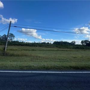 Photo #4 of Alonzo, Oakboro, NC 3.0 acres
