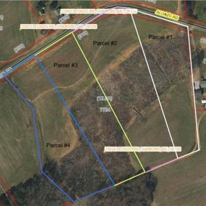 Photo #3 of Alonzo, Oakboro, NC 3.0 acres