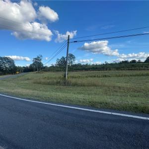 Photo #9 of Alonzo, Oakboro, NC 3.0 acres
