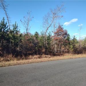 Photo #1 of 126 Harborgate, Denton, NC 3.0 acres