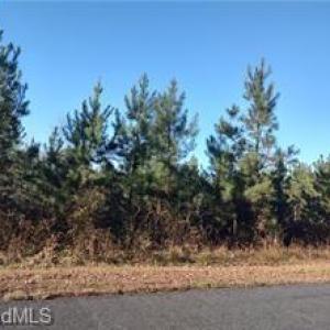 Photo #1 of 114 Harborgate, Denton, NC 3.1 acres