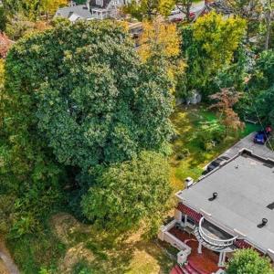 Photo #18 of 1505 Mimosa, Greensboro, NC 0.2 acres