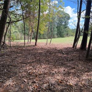 Photo #13 of Zeb Ferguson, Siler City, NC 30.7 acres