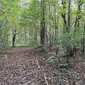 Photo #9 of Zeb Ferguson, Siler City, NC 30.7 acres