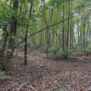 Photo #10 of Zeb Ferguson, Siler City, NC 30.7 acres