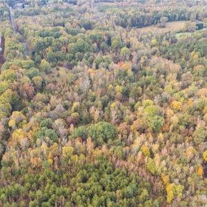 Photo #6 of 6700 Thurber, Randleman, NC 19.1 acres