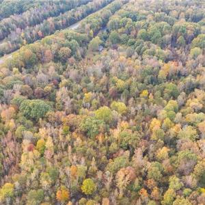 Photo #7 of 6700 Thurber, Randleman, NC 19.1 acres