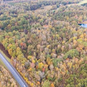 Photo #5 of 6700 Thurber, Randleman, NC 19.1 acres