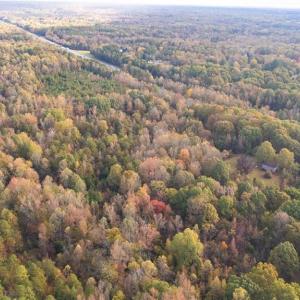 Photo #8 of 6700 Thurber, Randleman, NC 19.1 acres