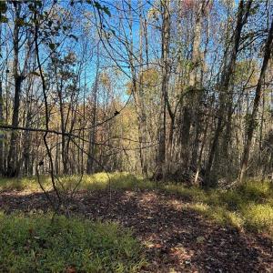 Photo #6 of Buffalo, Sandy Ridge, NC 29.4 acres