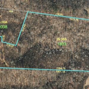 Photo #1 of Buffalo, Sandy Ridge, NC 29.4 acres