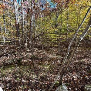 Photo #10 of Buffalo, Sandy Ridge, NC 29.4 acres