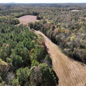 Access and field, facing south
