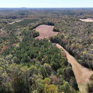 Access easement and field facing south