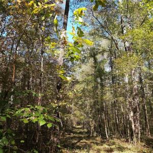 Path along east west boundary toward river