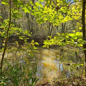 S. Yadkin River