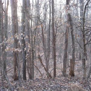 Photo #2 of 2973 Creek Point, Graham, NC 2.2 acres