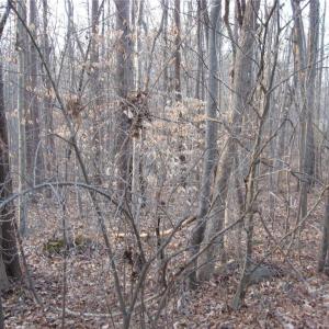 Photo #4 of 2973 Creek Point, Graham, NC 2.2 acres