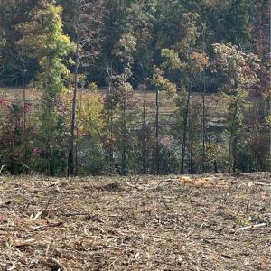 Photo #2 of 325 Elderberry, Lexington, NC 10.5 acres